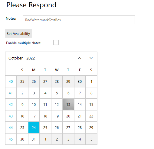 A WPF window visually similar to the previous Web pages. Like the React MultiViewCalendar, there is no month list. In the Calendar’s header and the arrowheads icons for changing the month are grouped together in the upper right corner of the calendar. The chief visual difference is that the dates are enclosed in a grid of lines. However, the current date is still highlighted in blue and the currently selected date in gray.