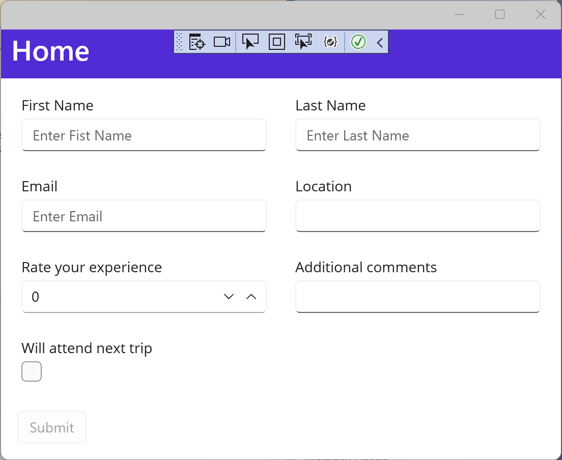 An example of an autogenerated Telerik dataform